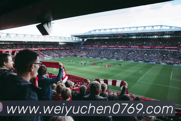 辅助工具 辅助工具